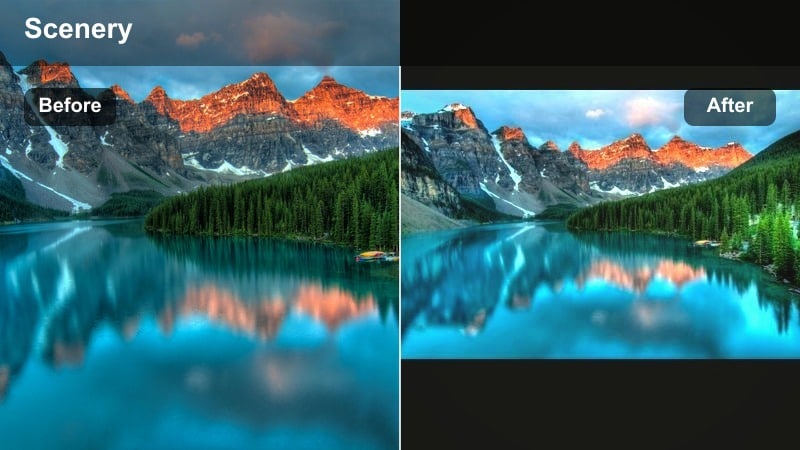 Soft misty forest with gentle green tones and diffused light