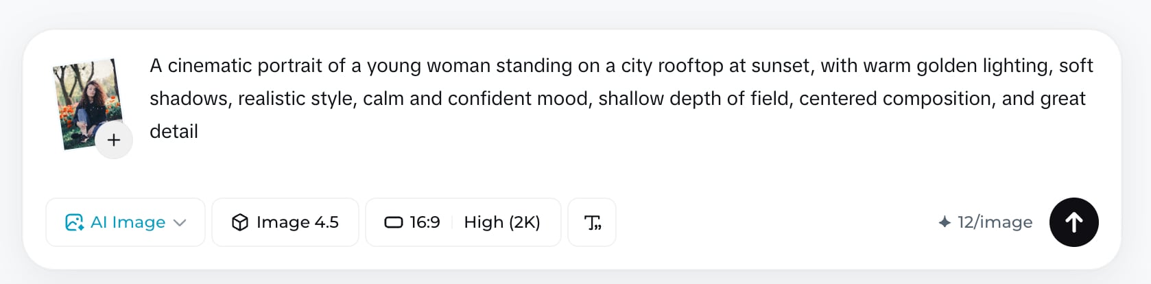 type a prompt and adjust the settings