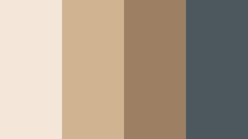 driftwood shoreline amber beige color palette with hex codes