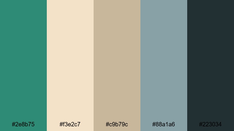 driftwood shoreline sea green color palette with hex codes