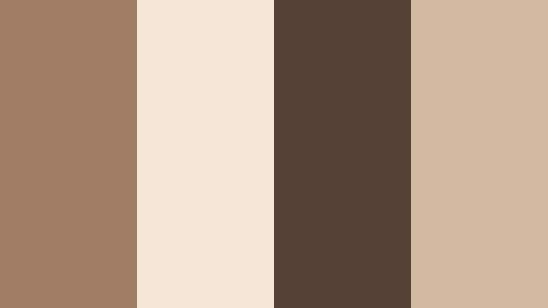 driftwood studio neutrals warm driftwood color palette with hex codes