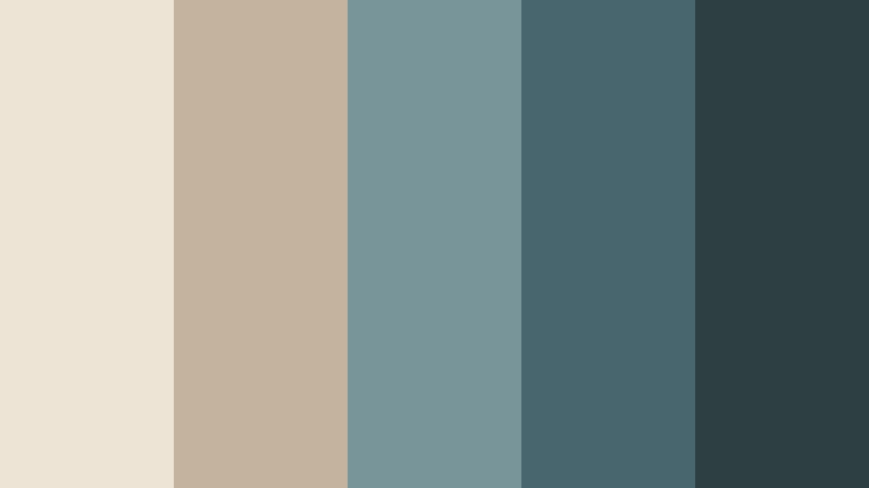 driftwood tide real estate video color color palette with hex codes