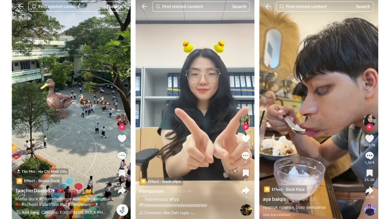the duck filters everyone is using