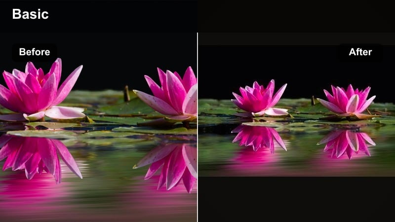 Lavender dreamy filter on sunset aesthetic footage