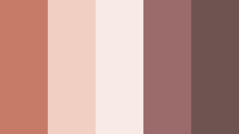 dusky rose afternoon muted terracotta color palette with hex codes