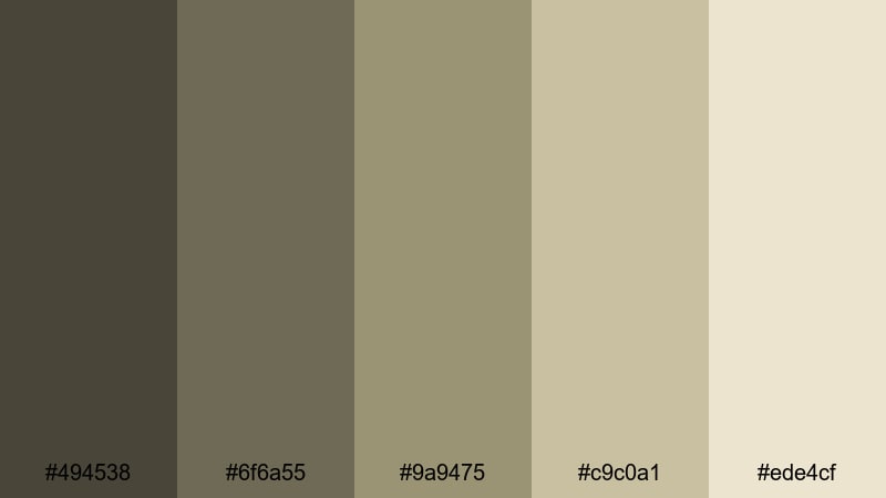 dusty backlot streets drab color palette with hex codes