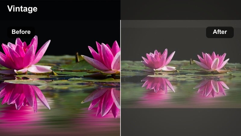 Family watching old home movies with a vintage faded color look