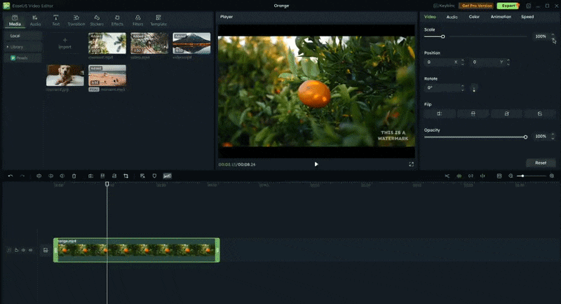easeus video editor remove watermark