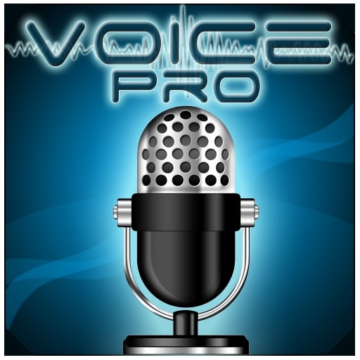 voice pro logo