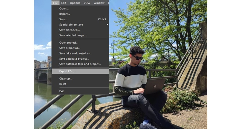 exporting edl to work whenever