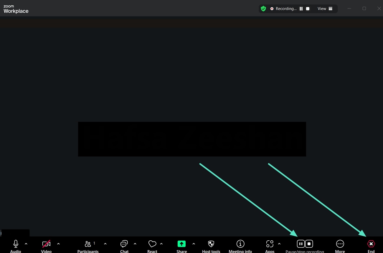 pause or stop recording zoom