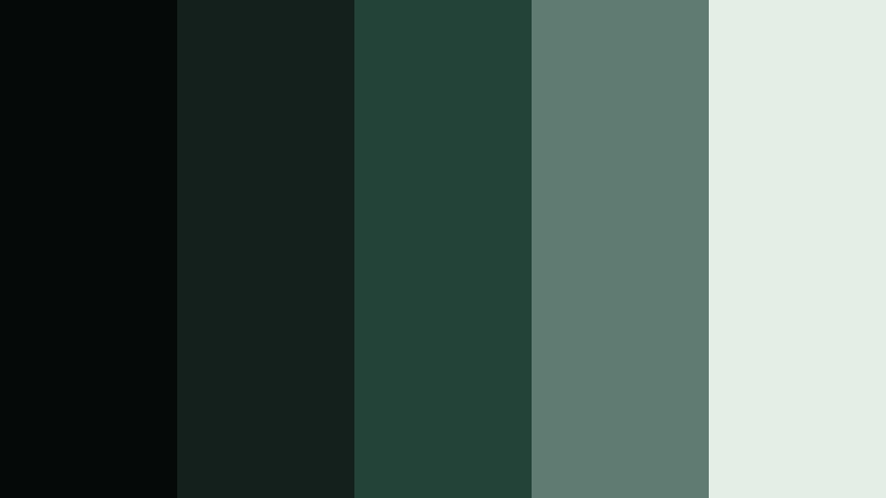 editing suite minimal dark film green color palette with hex codes