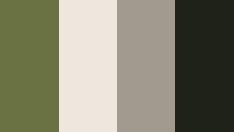 editorial city olive soft olive drab color palette with hex codes