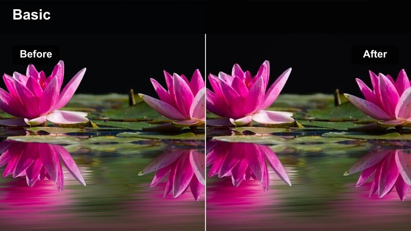 Polished warm kitchen scene with a finished dish styled on the counter.