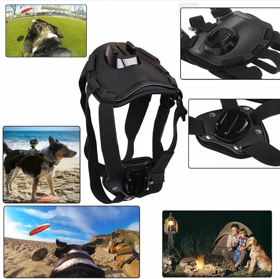EEEKit Dog Mount Kit لكاميرات Sony الحركية