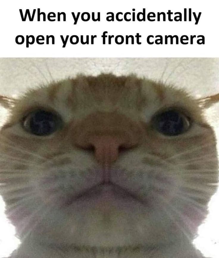 front camera embarrassed meme funny