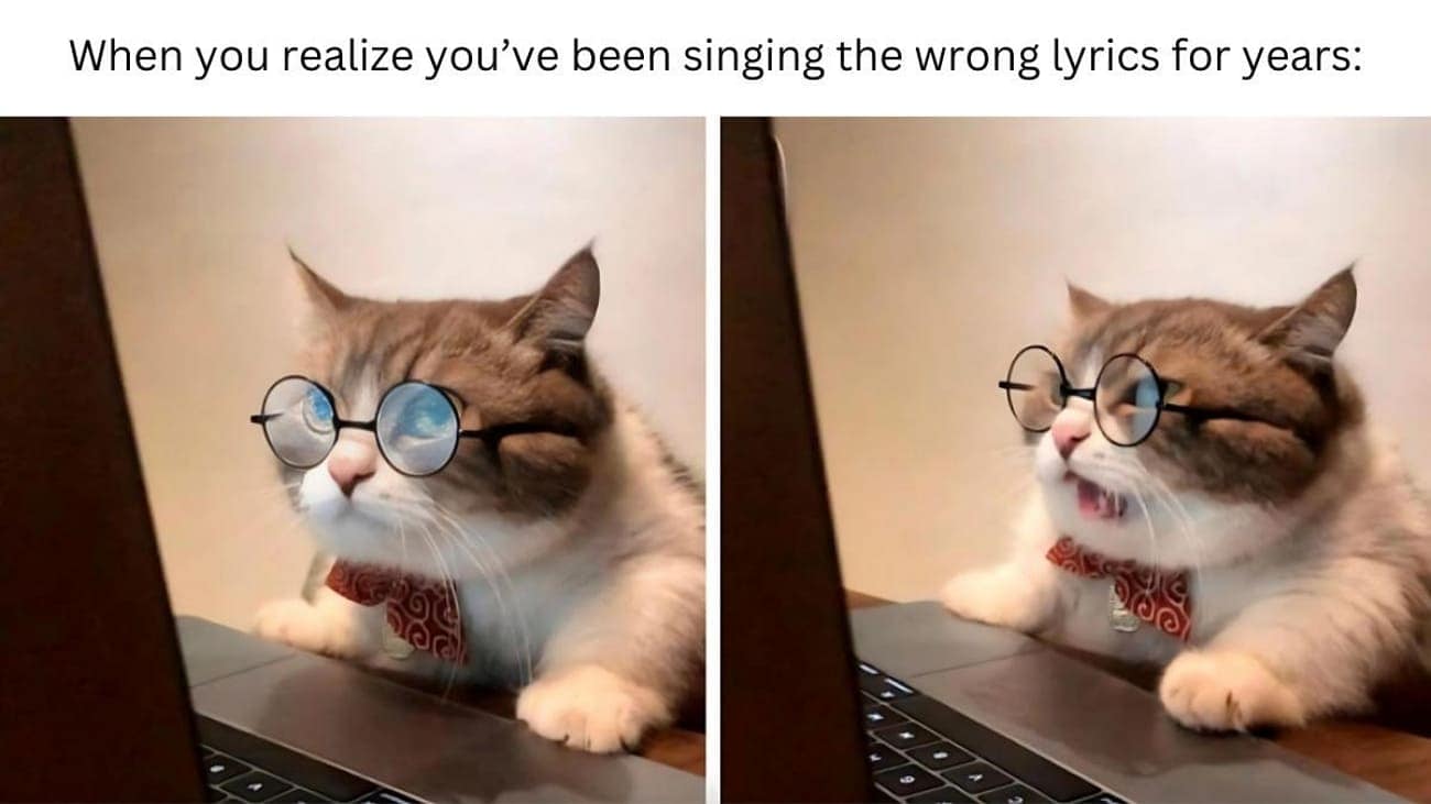 mis heard lyrics embarrassed meme