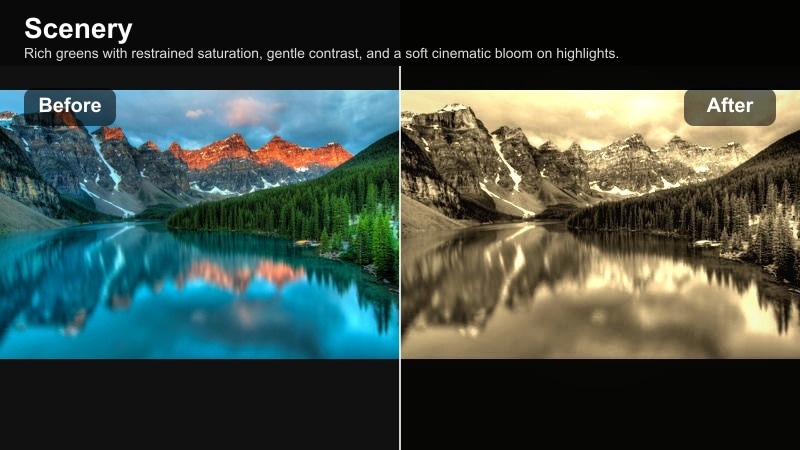 Cinematic filter on a lush green forest