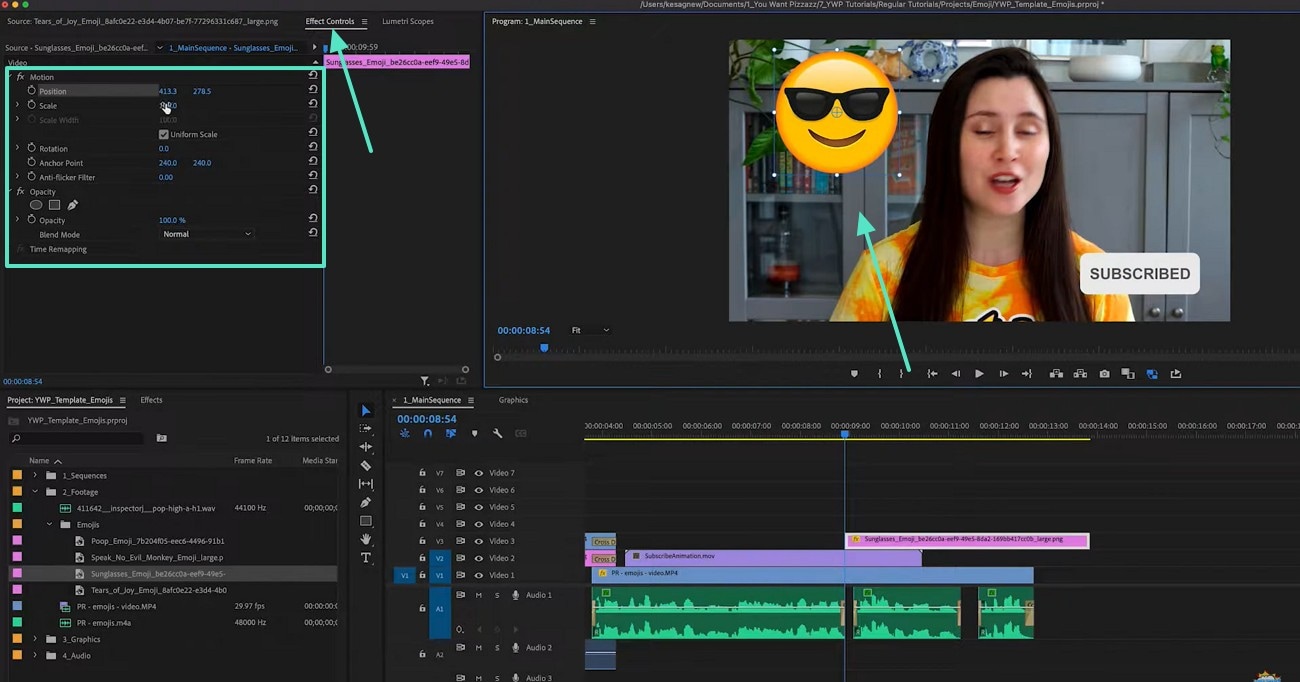 use effect controls panel mac