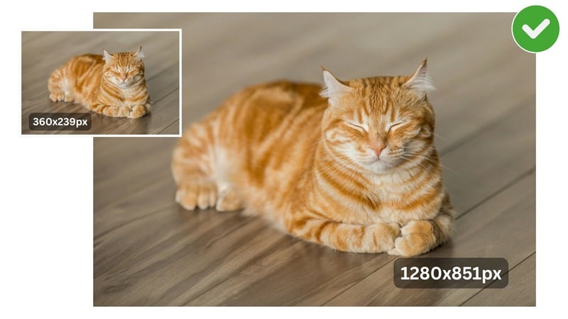 enlarge image without losing quality