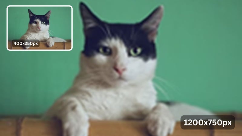 example of enlarging images