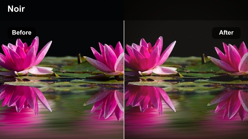 Barista pouring dark espresso into a cup with moody cinematic lighting on coffee beans