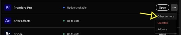 use older version premiere pro