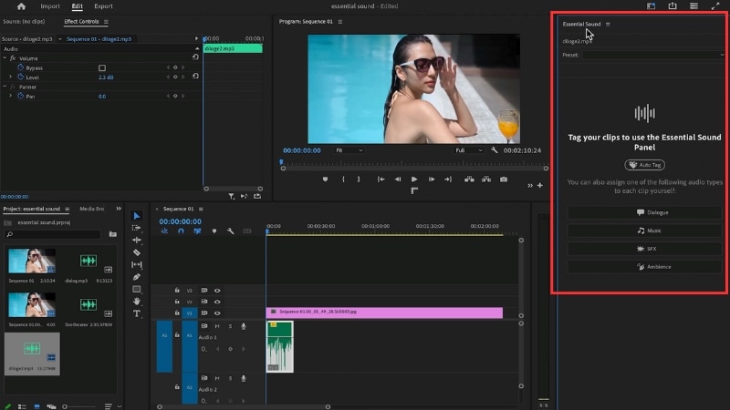 assign an audio type
