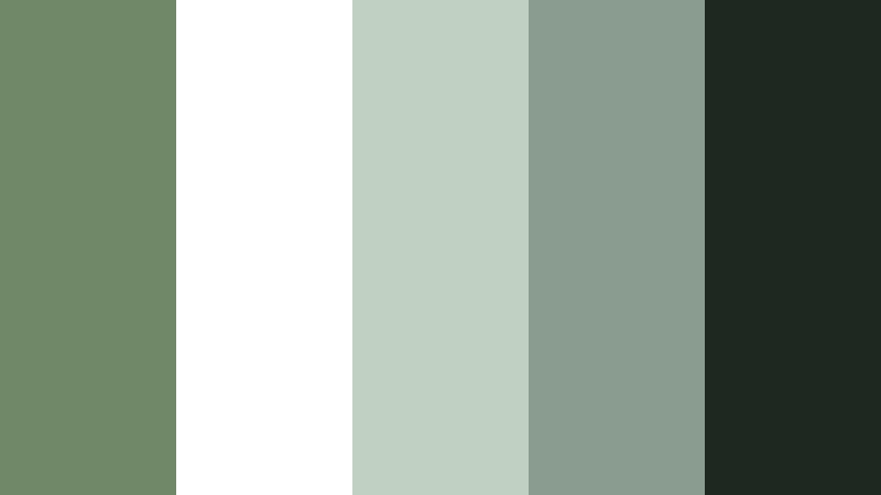 evergreen brand mark sage fern color palette with hex codes