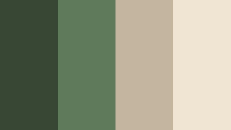 evergreen cabin retreat woodland fern color palette with hex codes