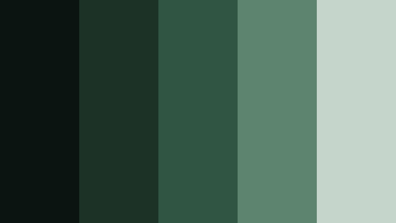evergreen cliff fade dark film green color palette with hex codes