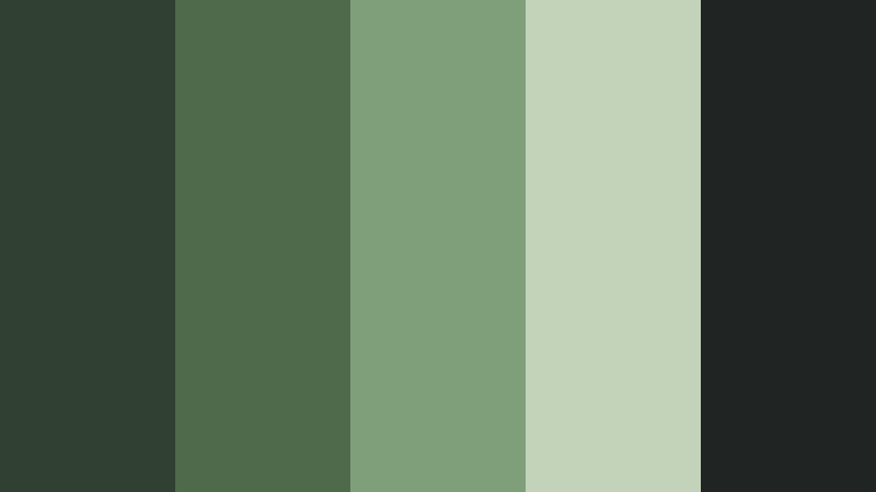 evergreen documentary grade forest moss color palette with hex codes