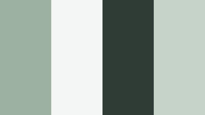evergreen editorial eucalyptus mist color palette with hex codes