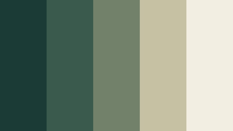 evergreen minimal nature color palette color palette with hex codes