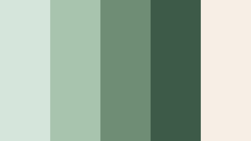 evergreen trail walk pale eucalyptus color palette with hex codes