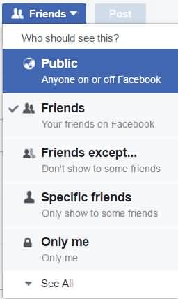 facebook public settings