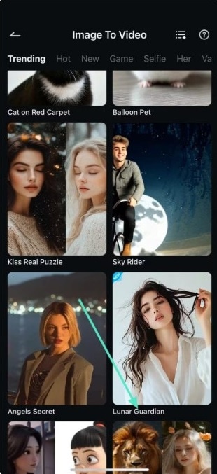 browse video template in filmora