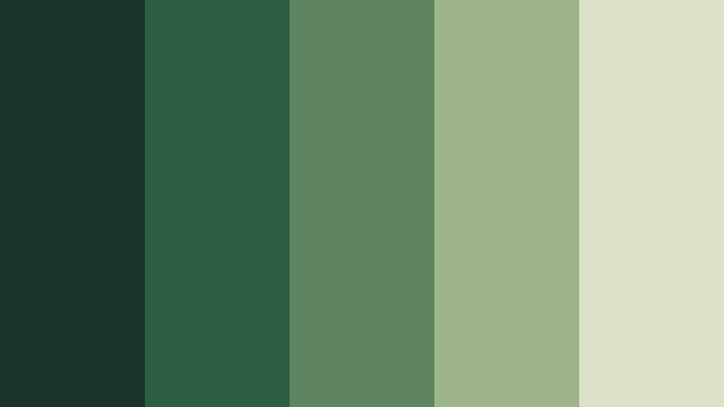 fern canopy forest color palette color palette with hex codes