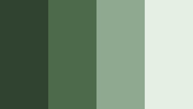 fern shadow canopy woodland fern color palette with hex codes