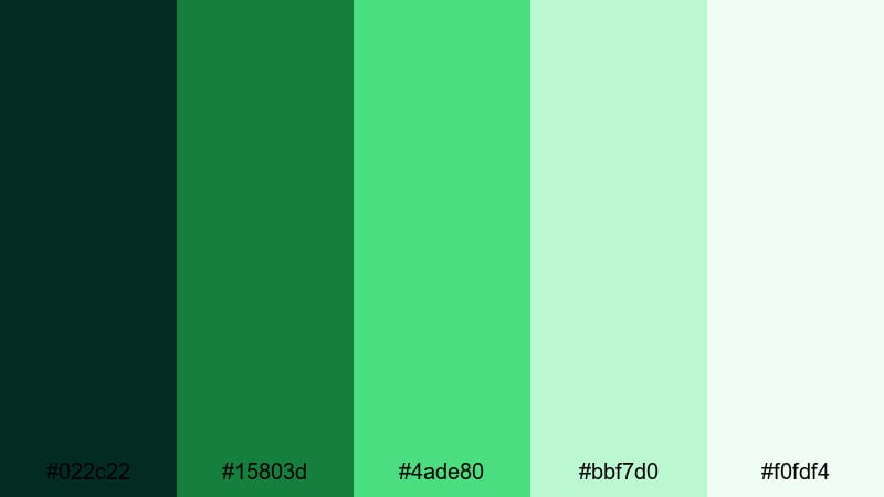 fern studio backdrop dark green color palette with hex codes
