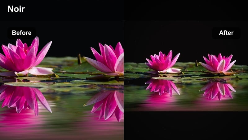 Couple embracing in dramatic black-and-white contrast