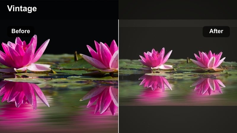 Wedding couple with a warm vintage film tone