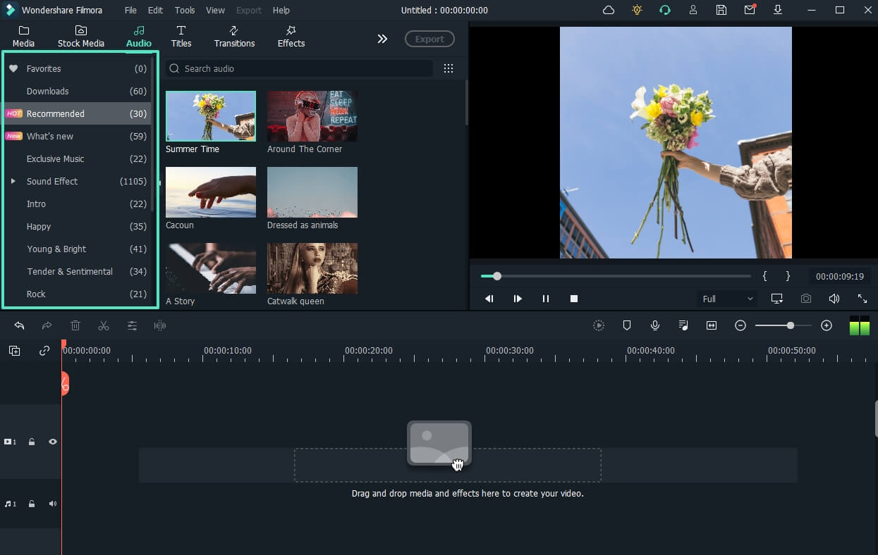 filmora video editor audio bibliothek