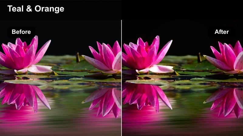 Silhouette of a person facing a glowing city skyline with bold contrast and amber tones.