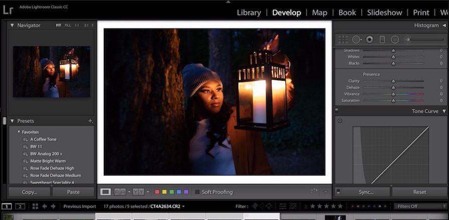 pastel filter in lightroom