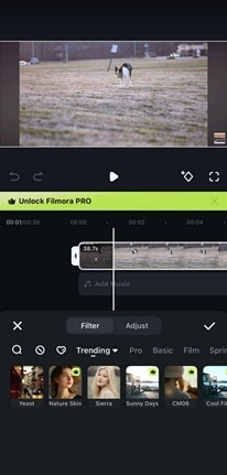 filmora for ios filters