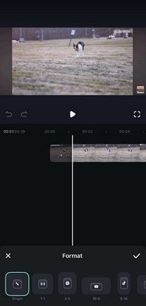 filmora for ios format options