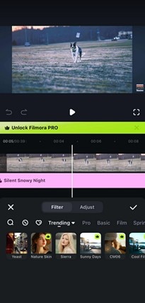 filmora applied filter