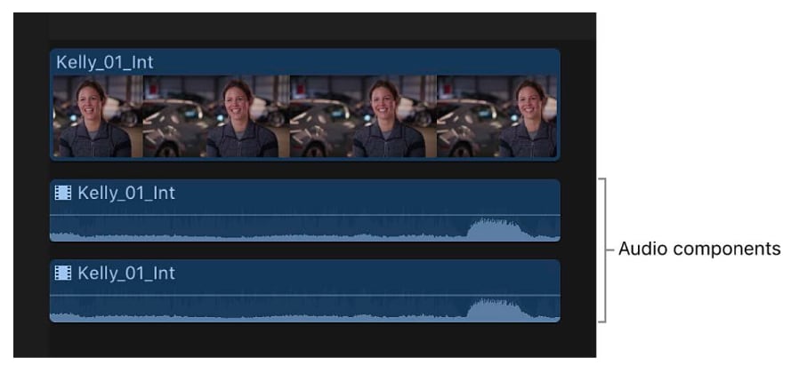 final cut pro audio inspector