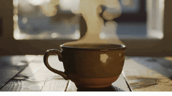 flora ai image to video results